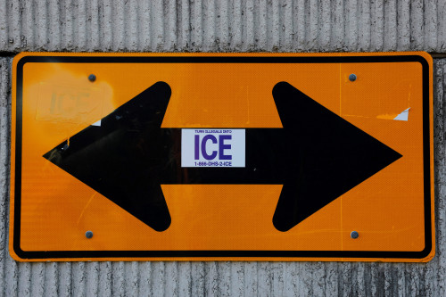 2025-11-22T011516Z_1_LYNXMPELAL00Q_RTROPTP_4_USA-TRUMP-NEW-ORLEANS